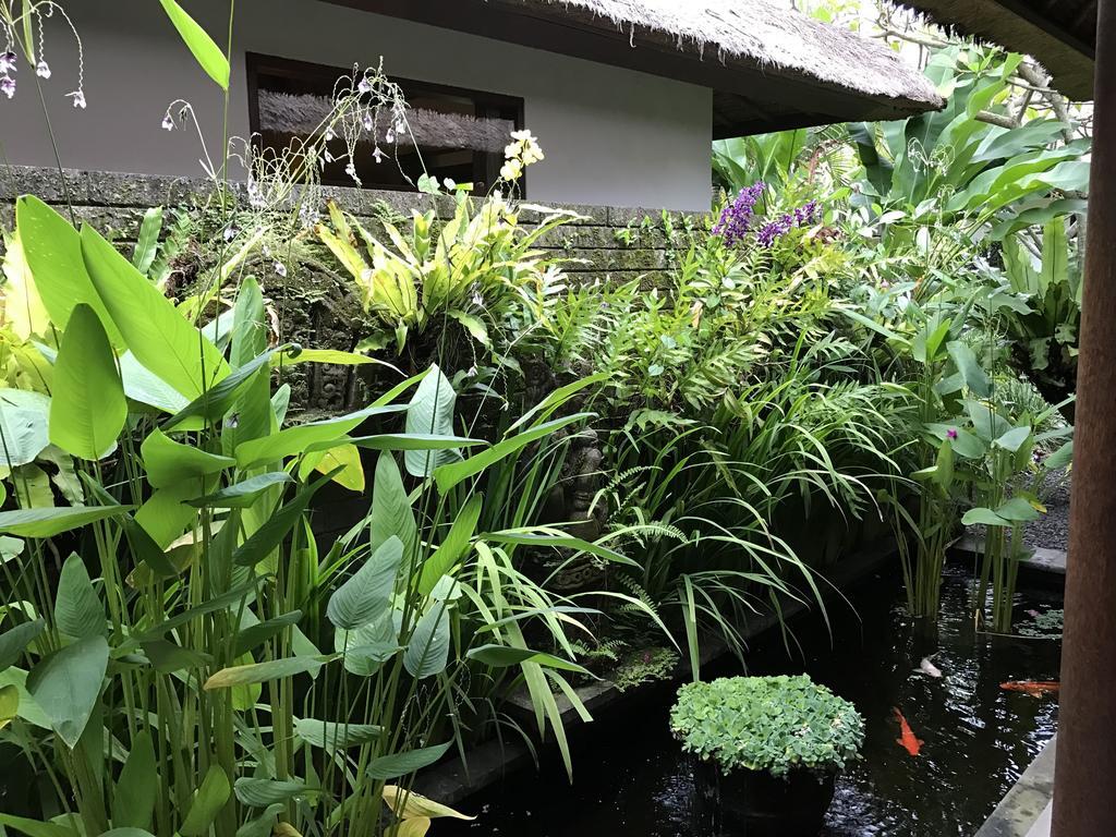 Bali Villa Aja Seminyak Exteriör bild